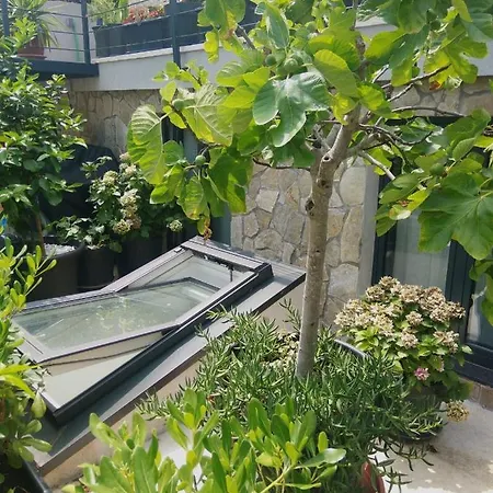 Garden Oasis By The *