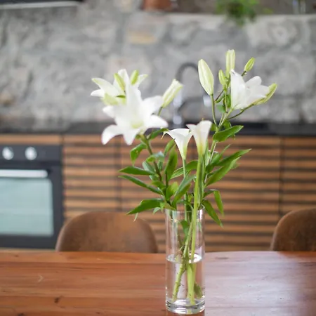 Apartment Artspace Location-opatija-3 Bedroom House With Rooftop Garden By